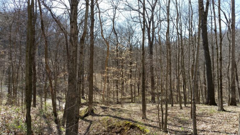 Souldana-5 Things Connected Spirit