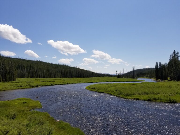 River, Green Grass Hills - Yellowstone Park | Daily Prayer Creates Miracles in Our Life