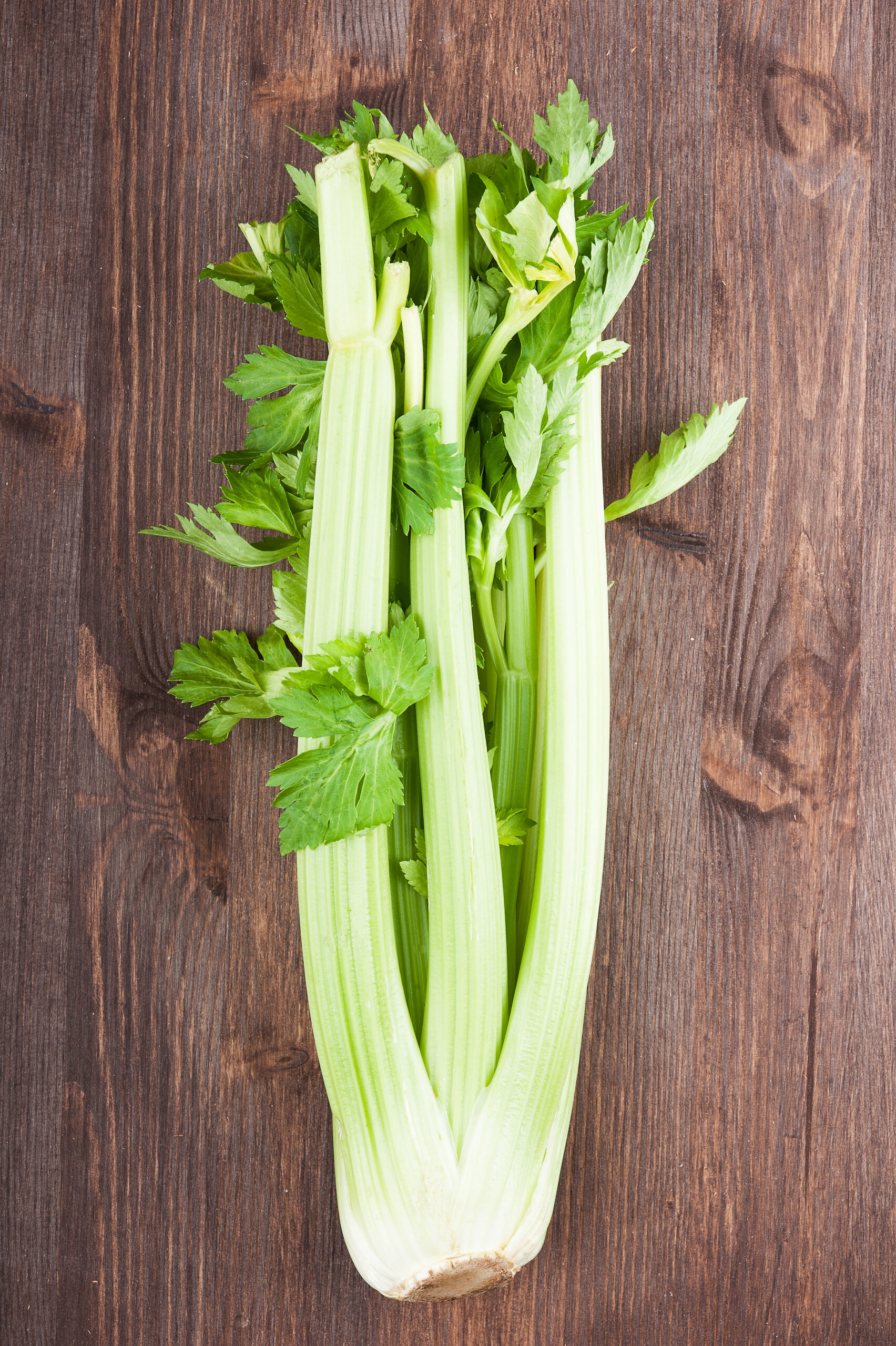 My Medical Medium Experience with Celery Juice